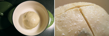 Dough Before Baking in the Dutch Oven