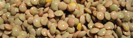 Rinsed Lentils