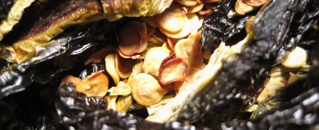 Jalapenos Dried with Seeds