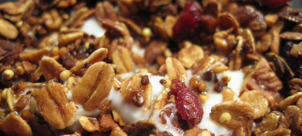 Granola 2010