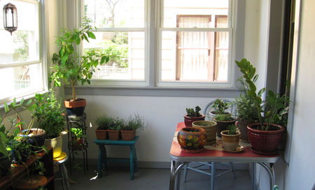 Porch - June 18th 2010