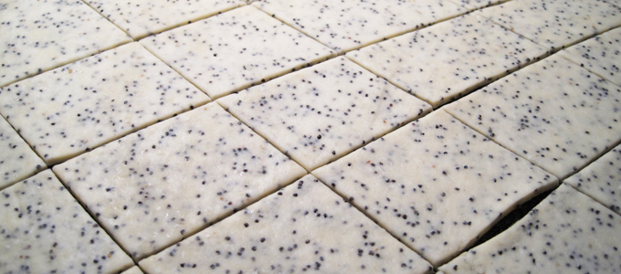 Poppy Cracker Dough
