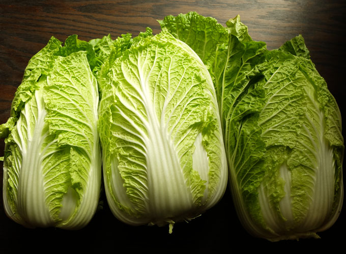 Napa Cabbage x 3