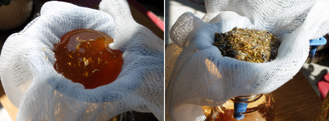 Lavender Honey Strain the Lavender