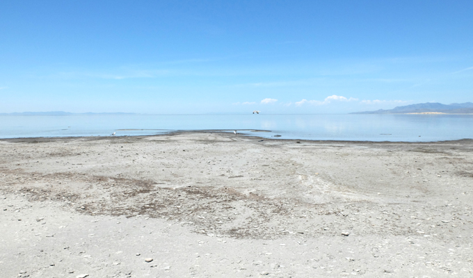 Antelope Island No See Ums at The Great Salt Lake