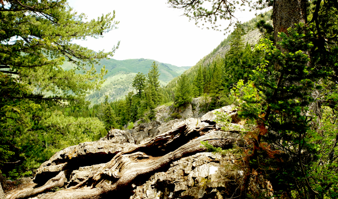 Donut Falls Trail near the top of the waterfall