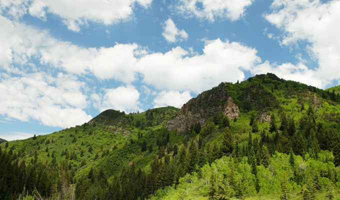 Donut Falls Trailhead Parking View