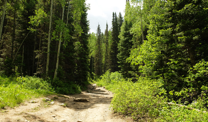 Donut Falls Trailhead Path