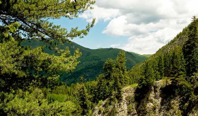 Donut Falls Trail View 