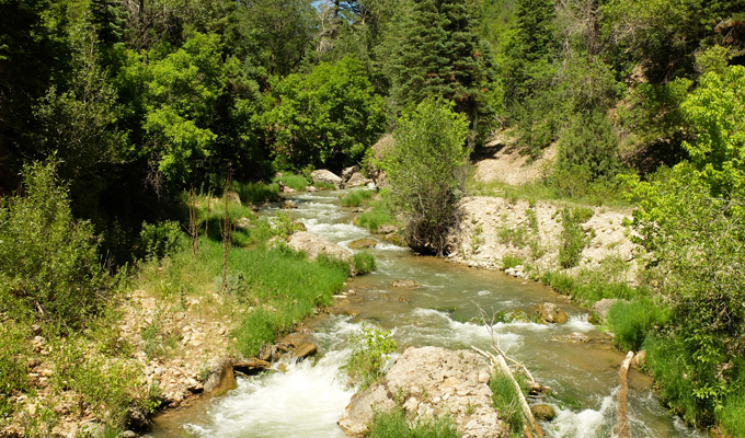 Fifth Water Creek Diamond Fork Canyon