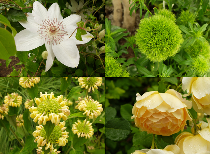 Red Butte Gardens Salt Lake City Flowers