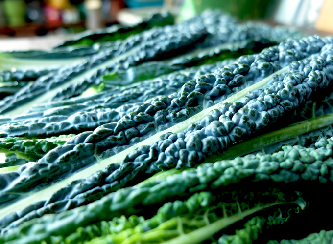 Lacinato Kale Dinosaur Kale